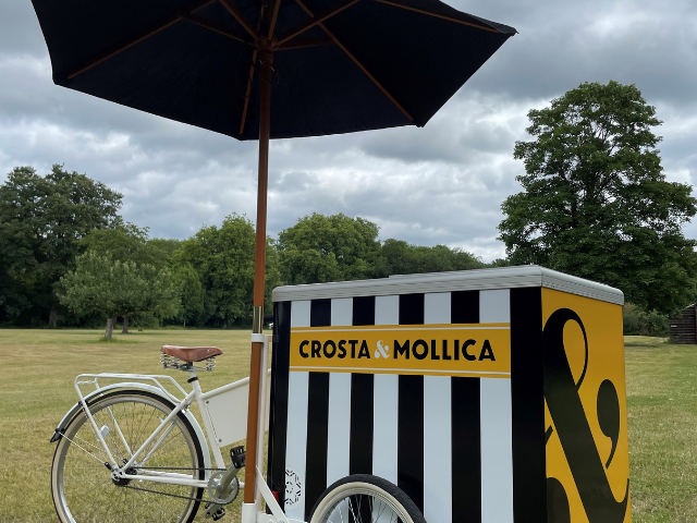 Ice cream bike for sale ebay uk best sale